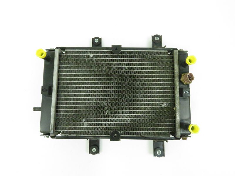 RADIATEUR EAU
