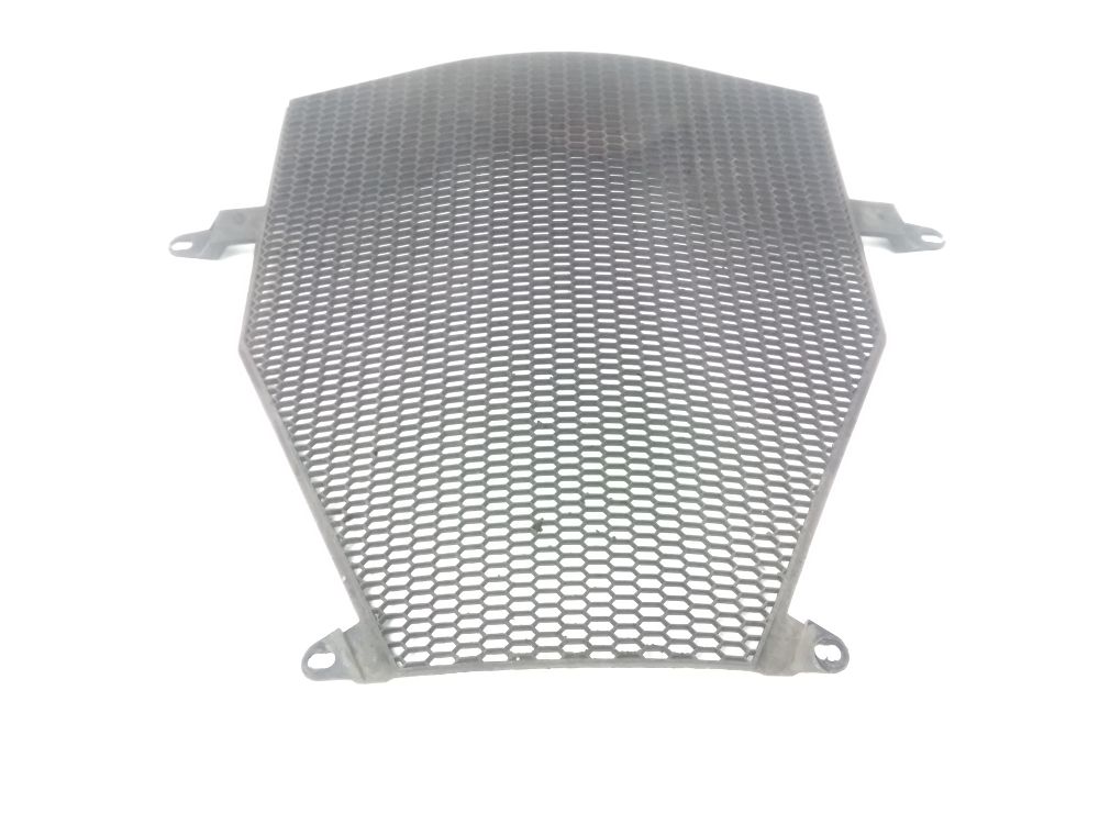 Grille de radiateur