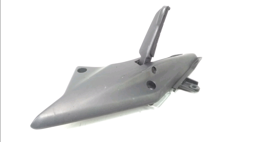 PLATINE ET REPOSE PIEDS ARRIERE DROIT