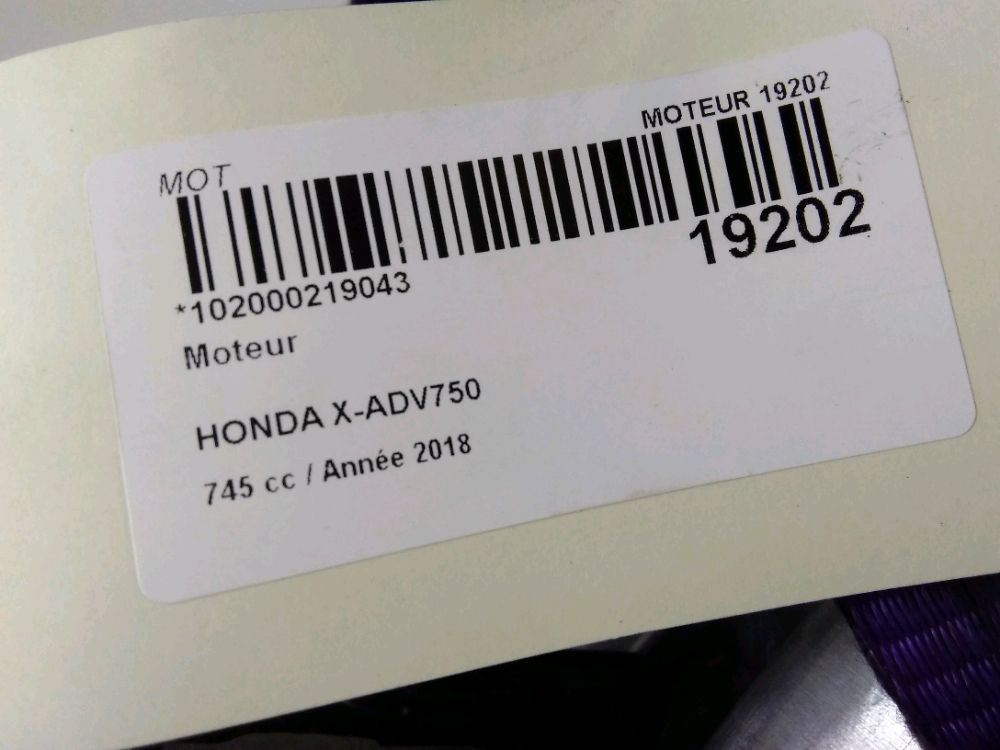 MOTEUR
