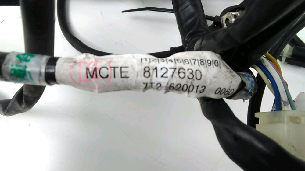 FAISCEAU ELECTRIQUE