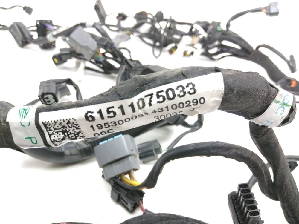 FAISCEAU ELECTRIQUE