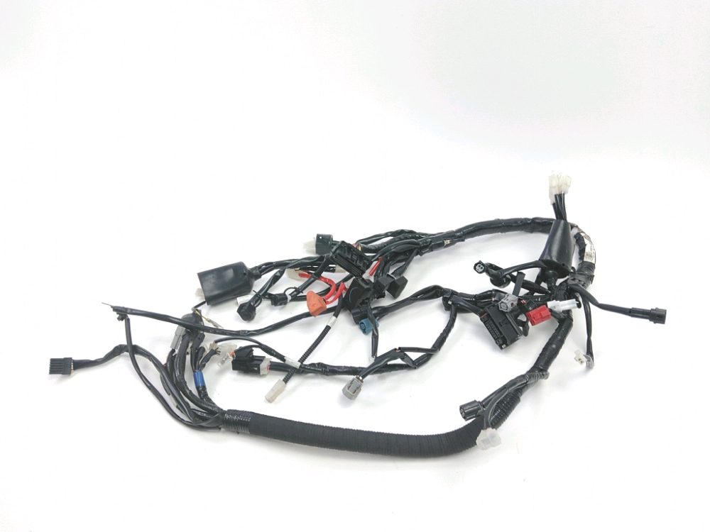 FAISCEAU ELECTRIQUE