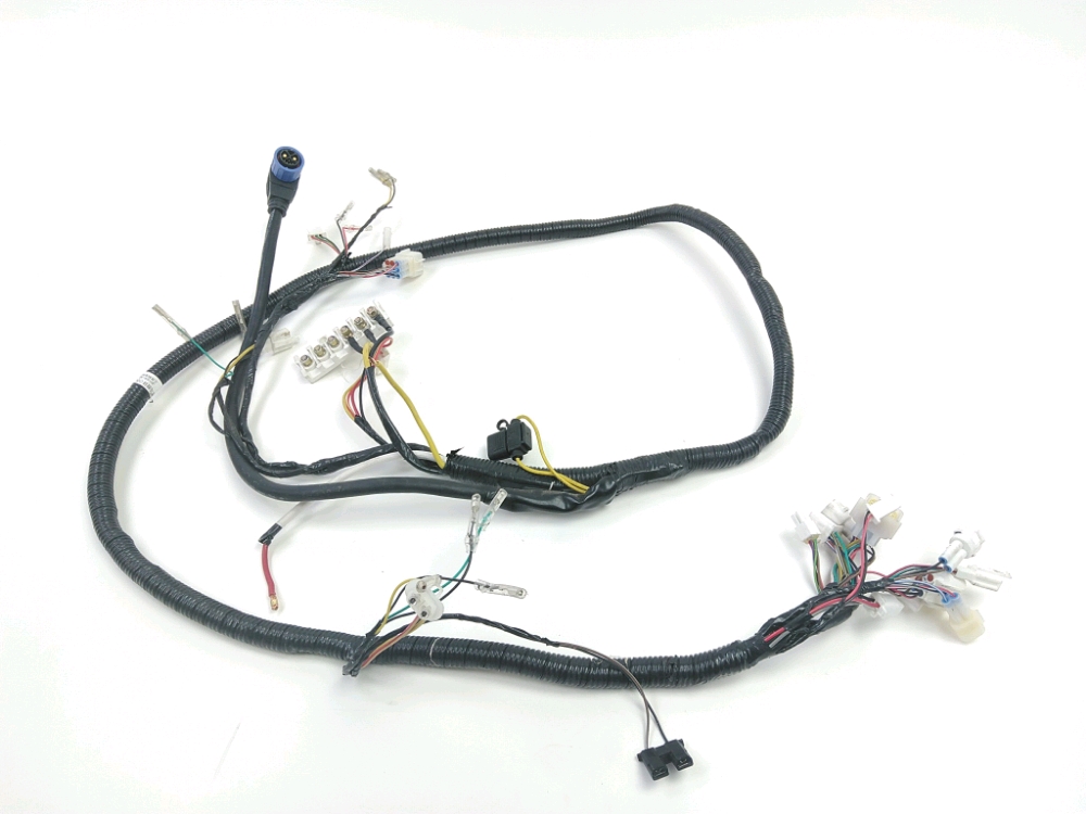 FAISCEAU ELECTRIQUE