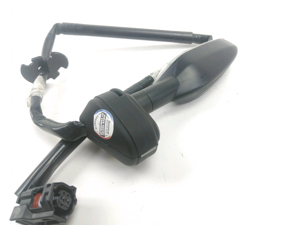 CLIGNOTANT ARRIERE G