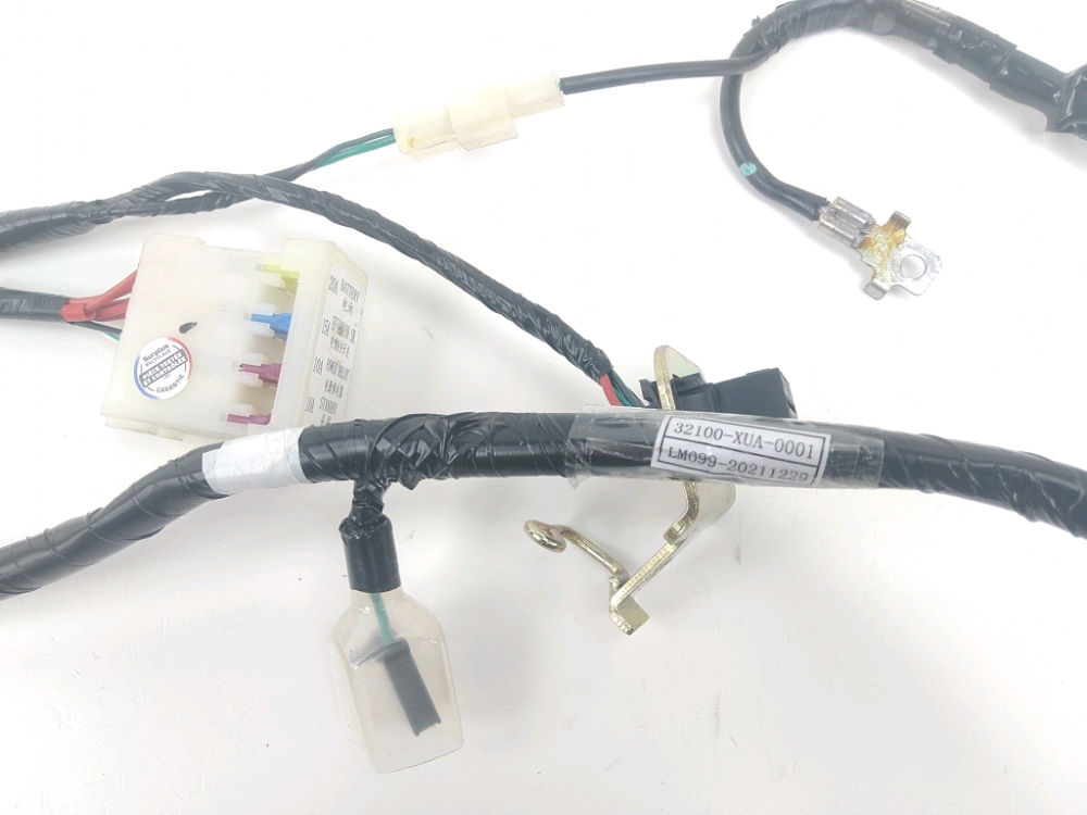FAISCEAU ELECTRIQUE
