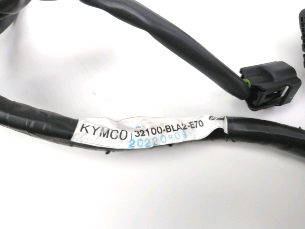 FAISCEAU ELECTRIQUE
