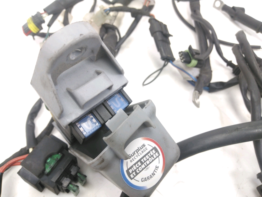 FAISCEAU ELECTRIQUE