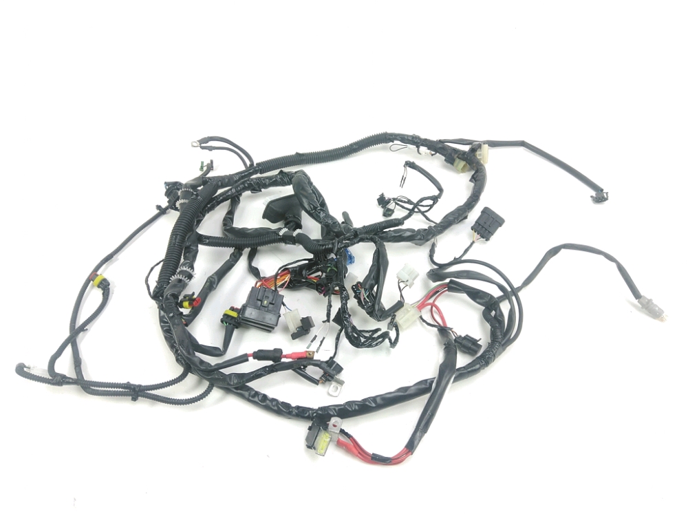 FAISCEAU ELECTRIQUE