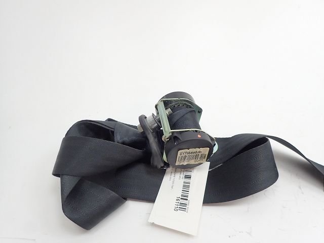 Ceinture arriere droite