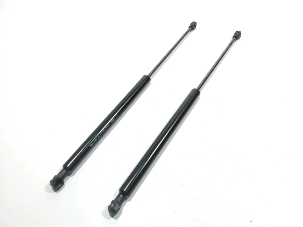 Verin de glace hayon