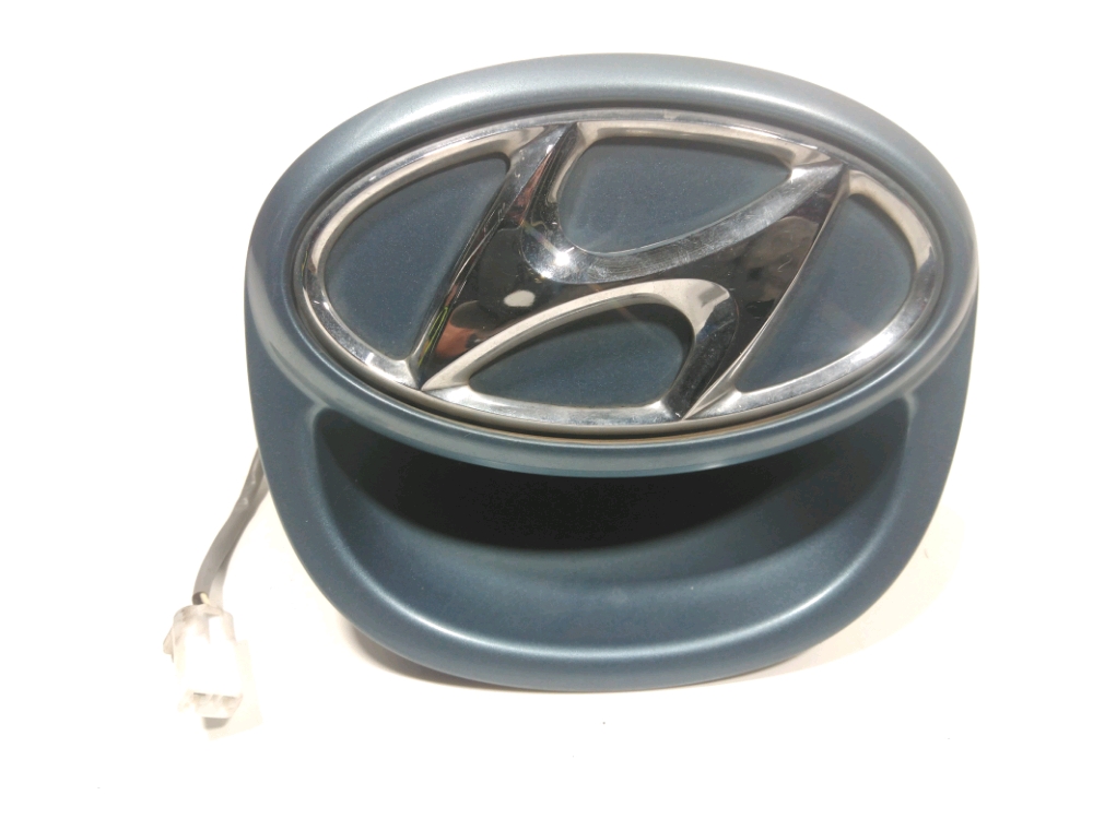 Poignée extérieure de Hayon