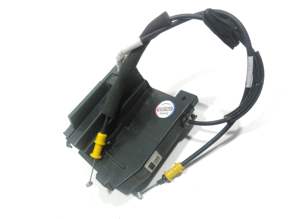 Serrure de porte arrière gauche