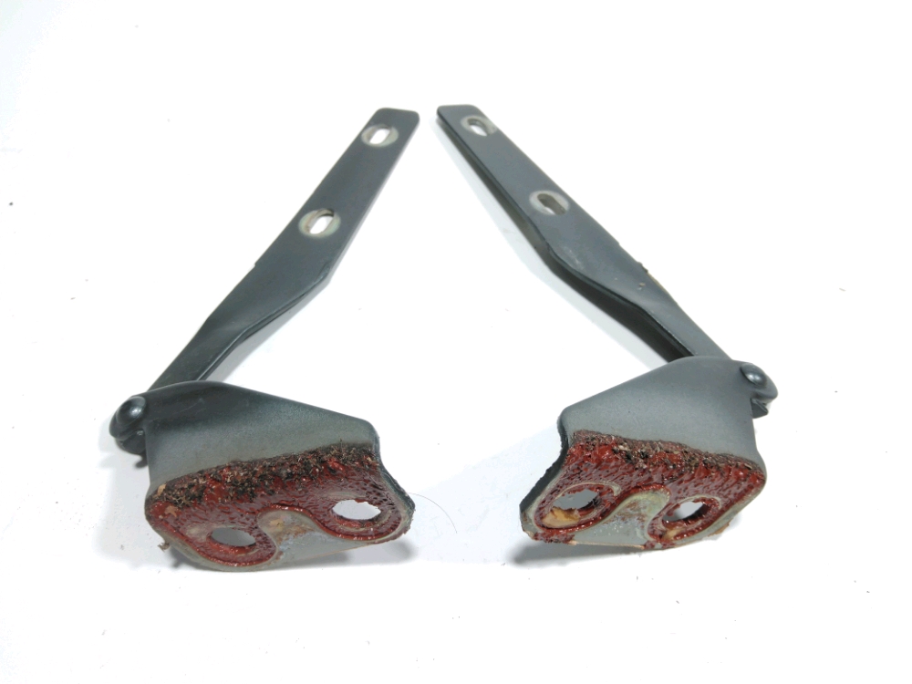 Jeu de charnieres de capot