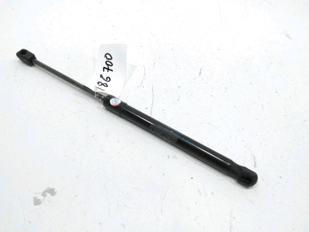 Verin droit de capot