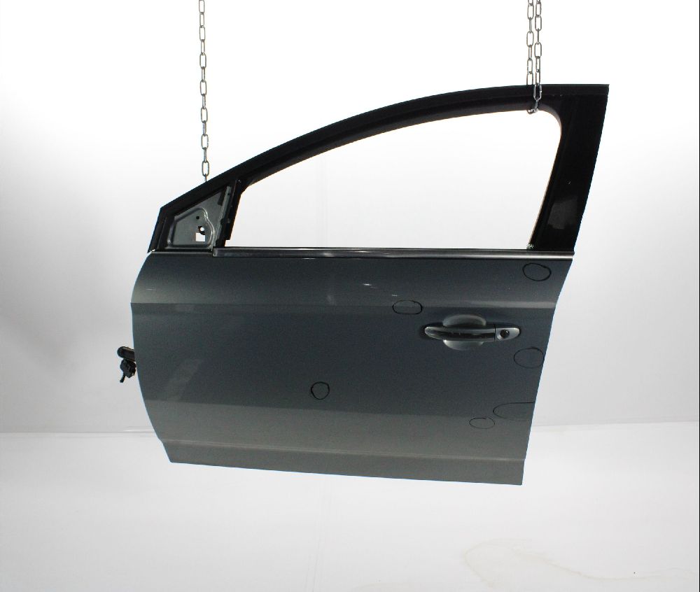 Porte avant gauche
