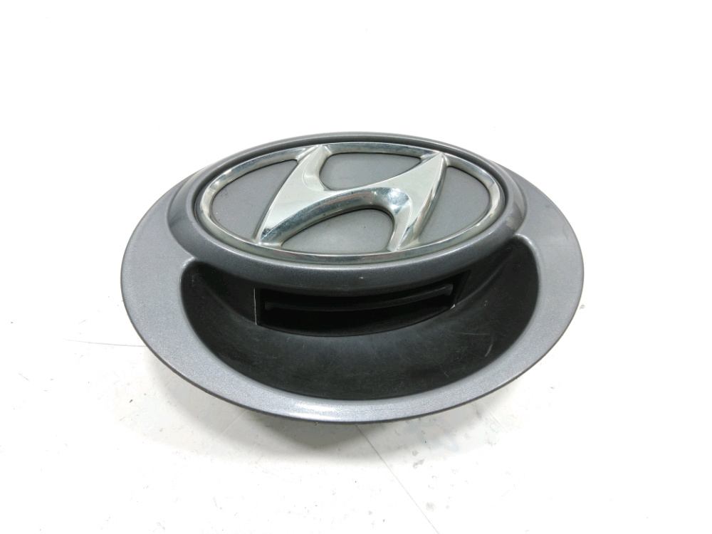 Poignée extérieure de Hayon