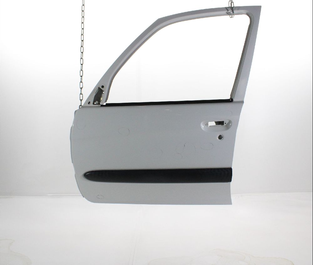 Porte avant gauche