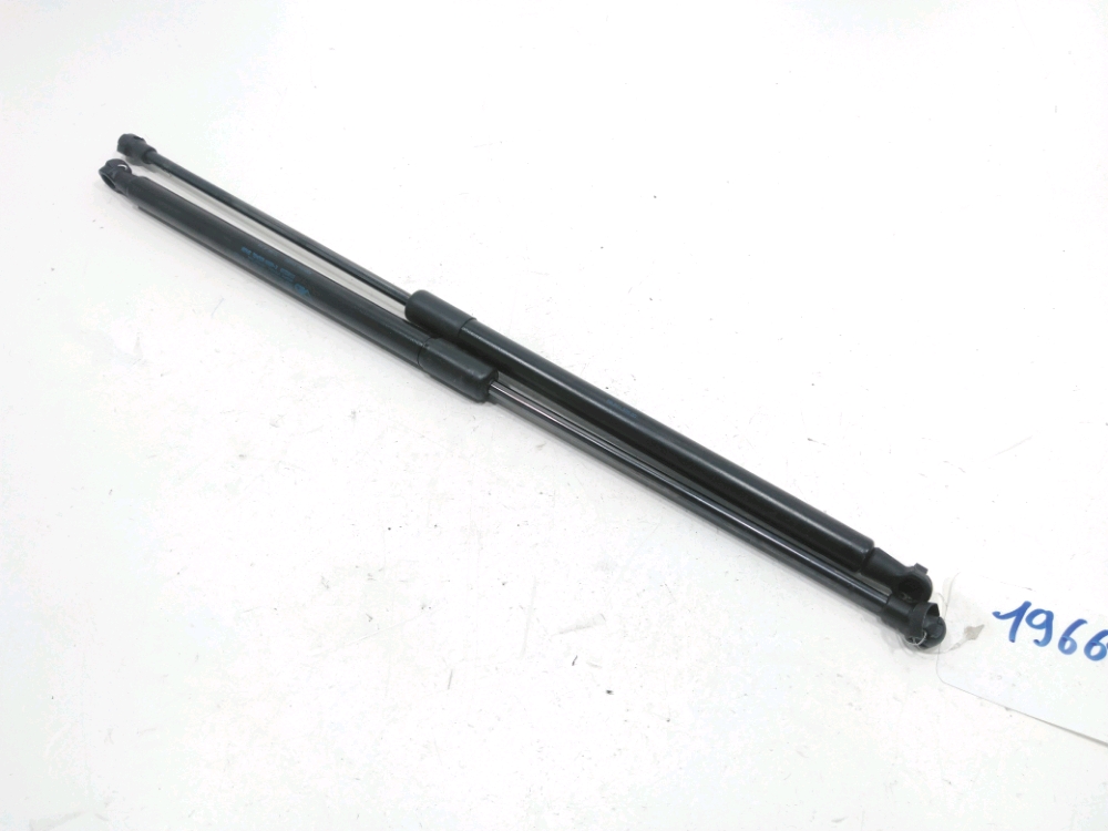 Verin de glace hayon