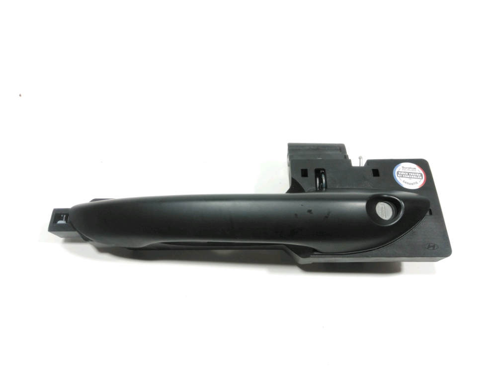 Poignée extérieure avant gauche