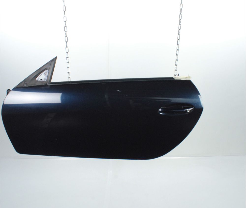 Porte avant gauche