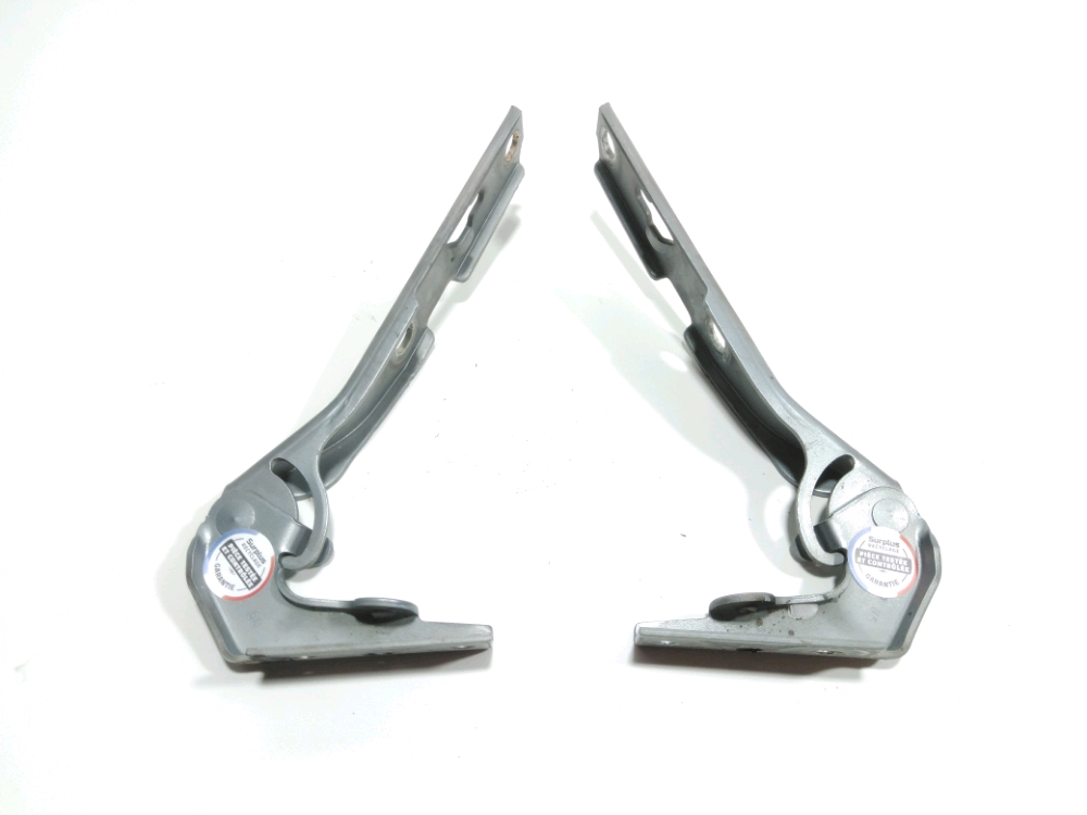 Jeu de charnieres de capot