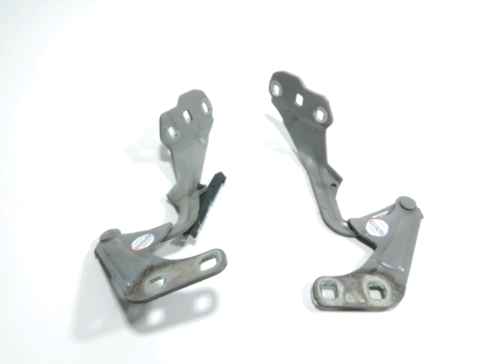 Jeu de charnieres de capot