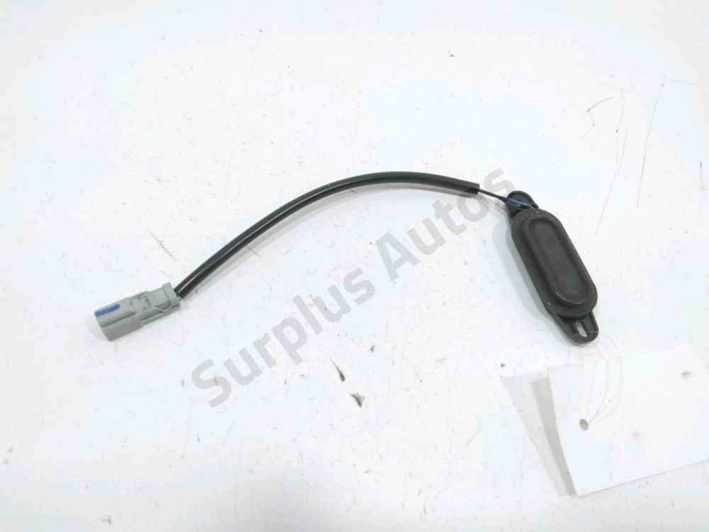 Poignée extérieure de Hayon