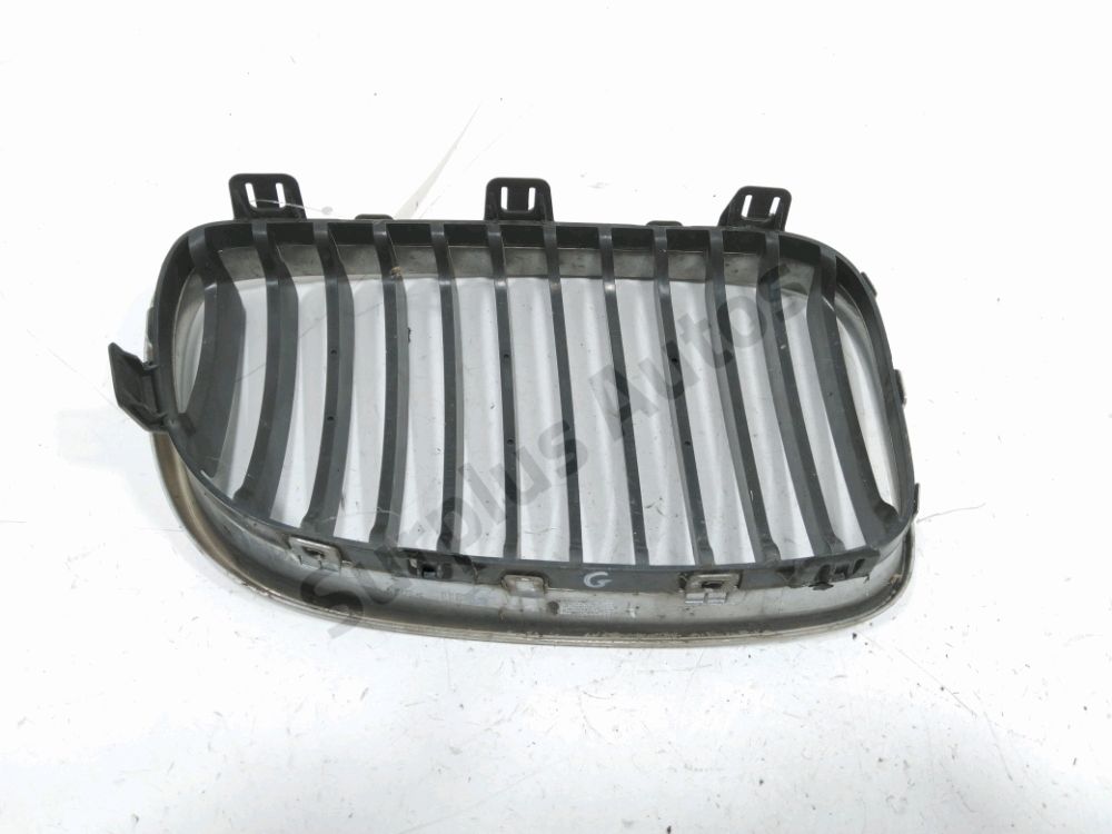 Grille de calandre gauche