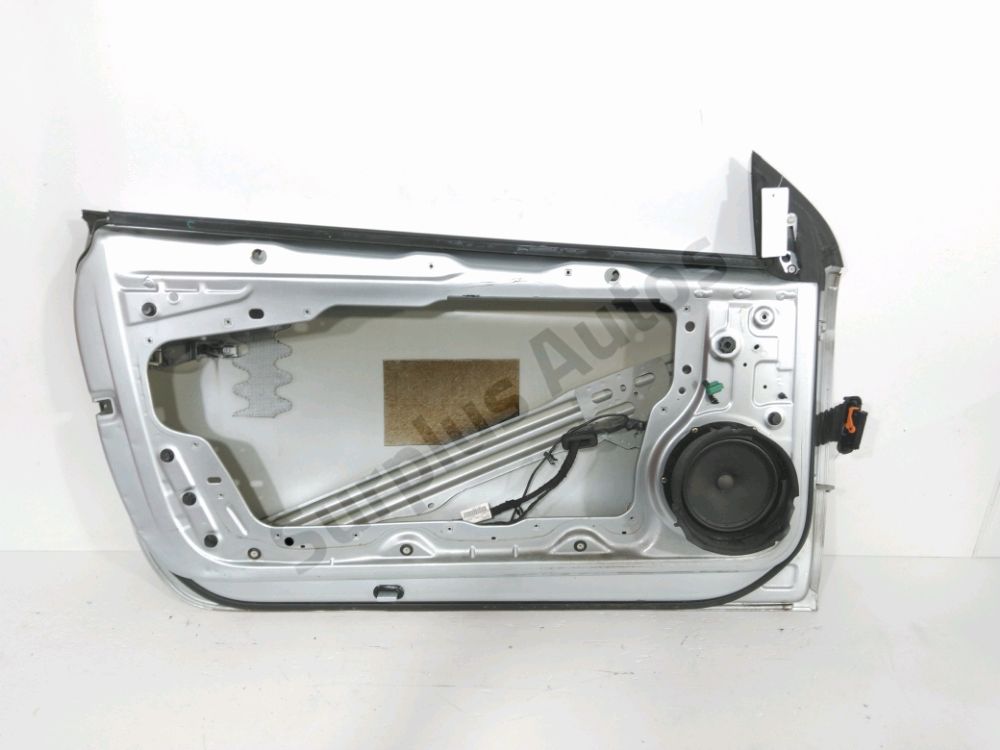 Porte avant gauche