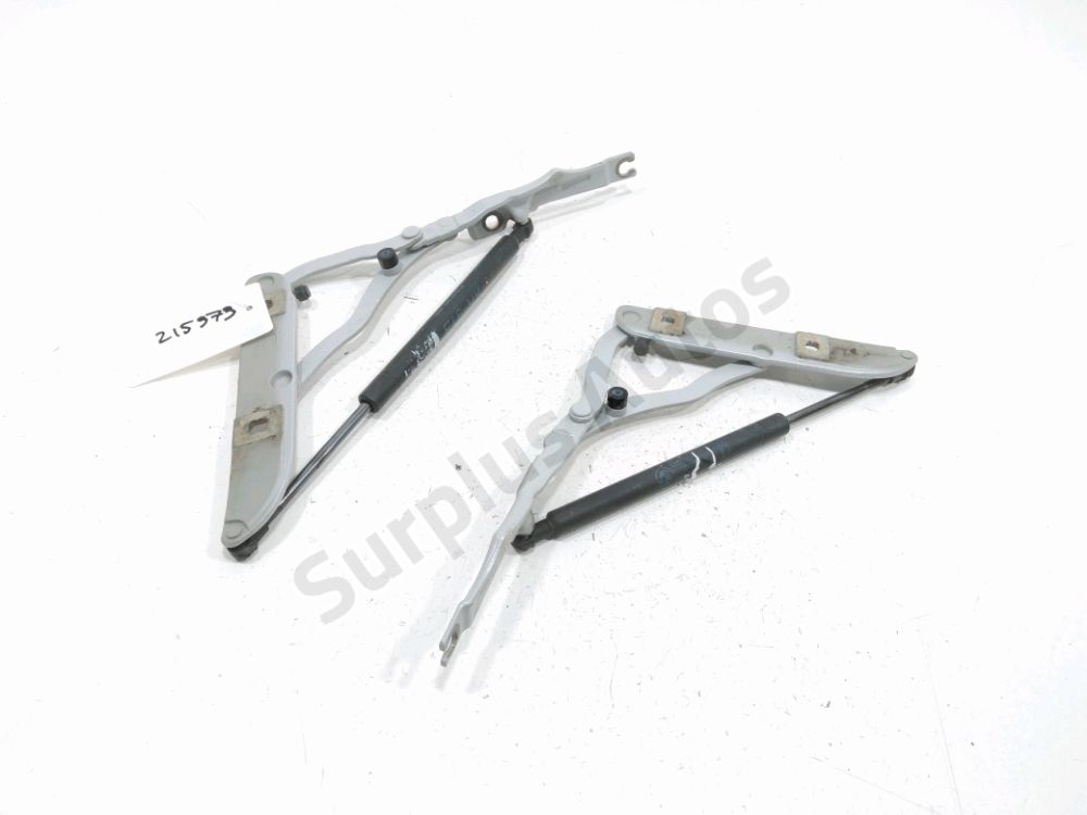 Jeu de charnières de hayon