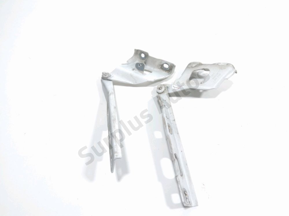 Jeu de charnières de capot