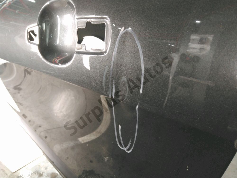 Porte avant gauche