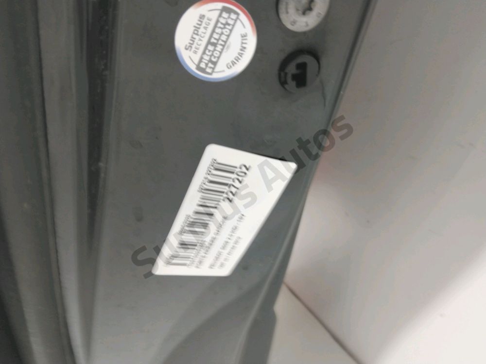 Porte arrière gauche