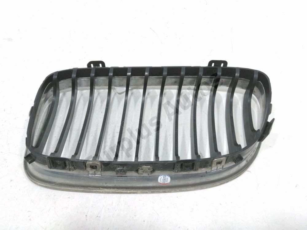 Grille de calandre droite