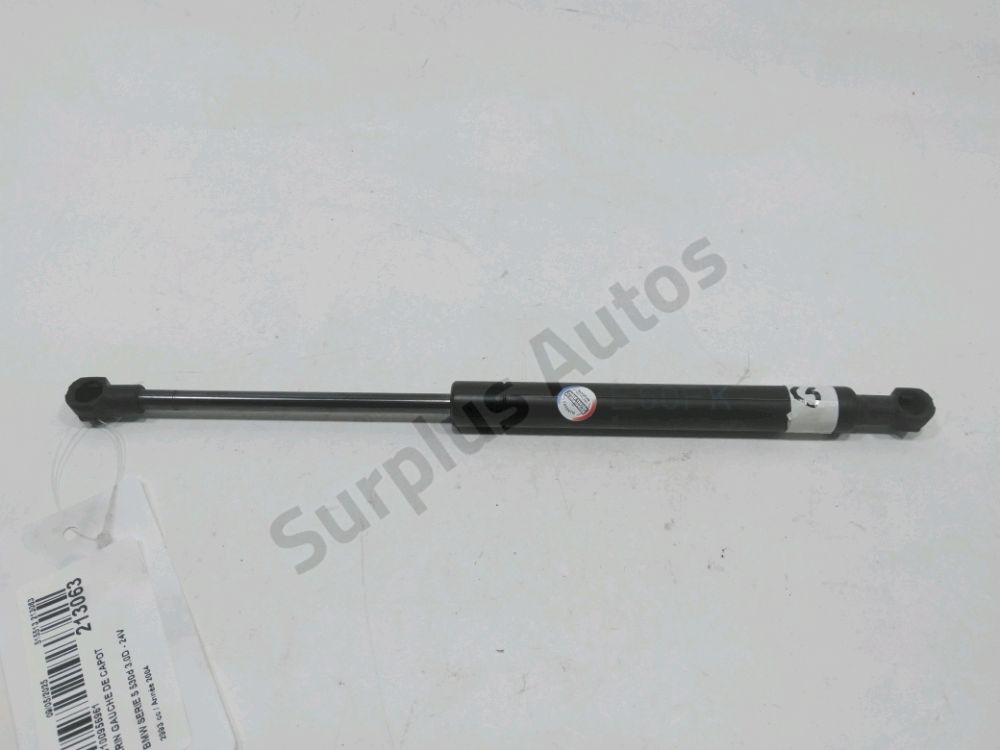 Vérin gauche de capot