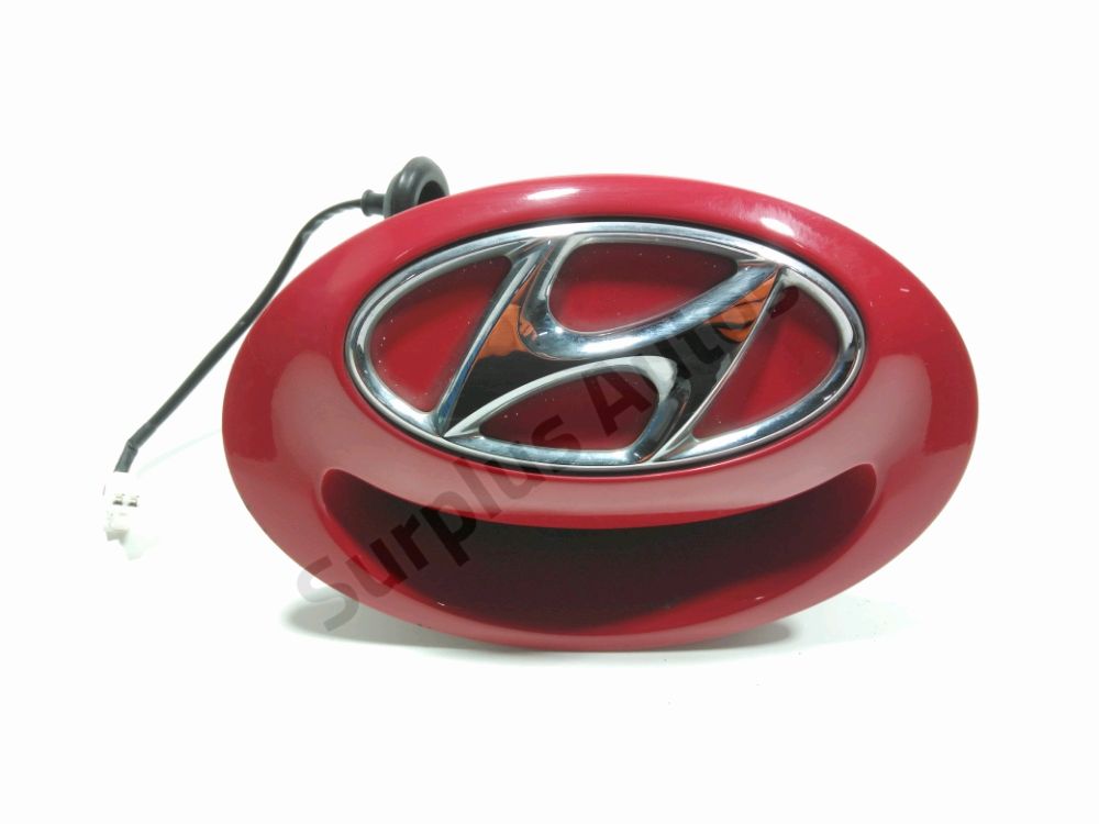 Poignee exterieure de hayon