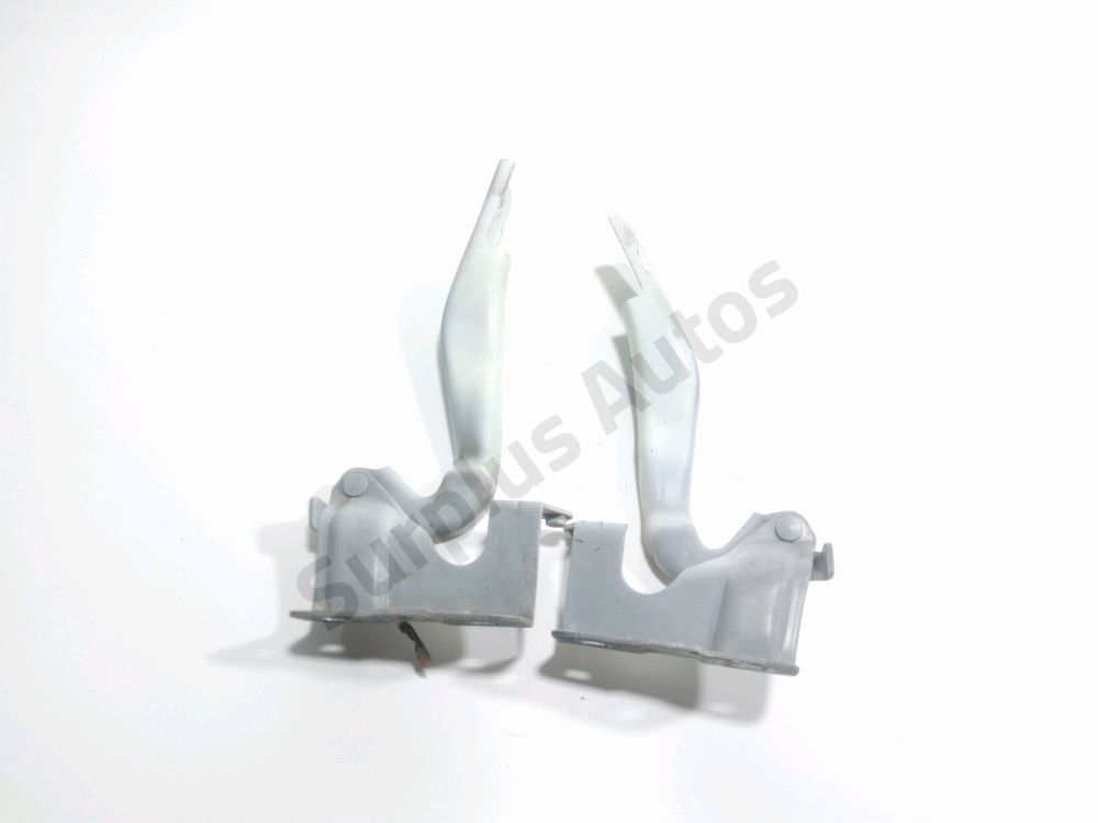 Jeu de charnieres de capot