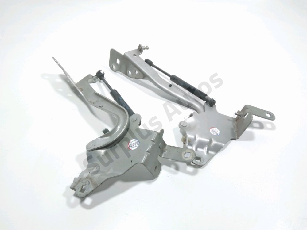 Jeu de charnières de capot