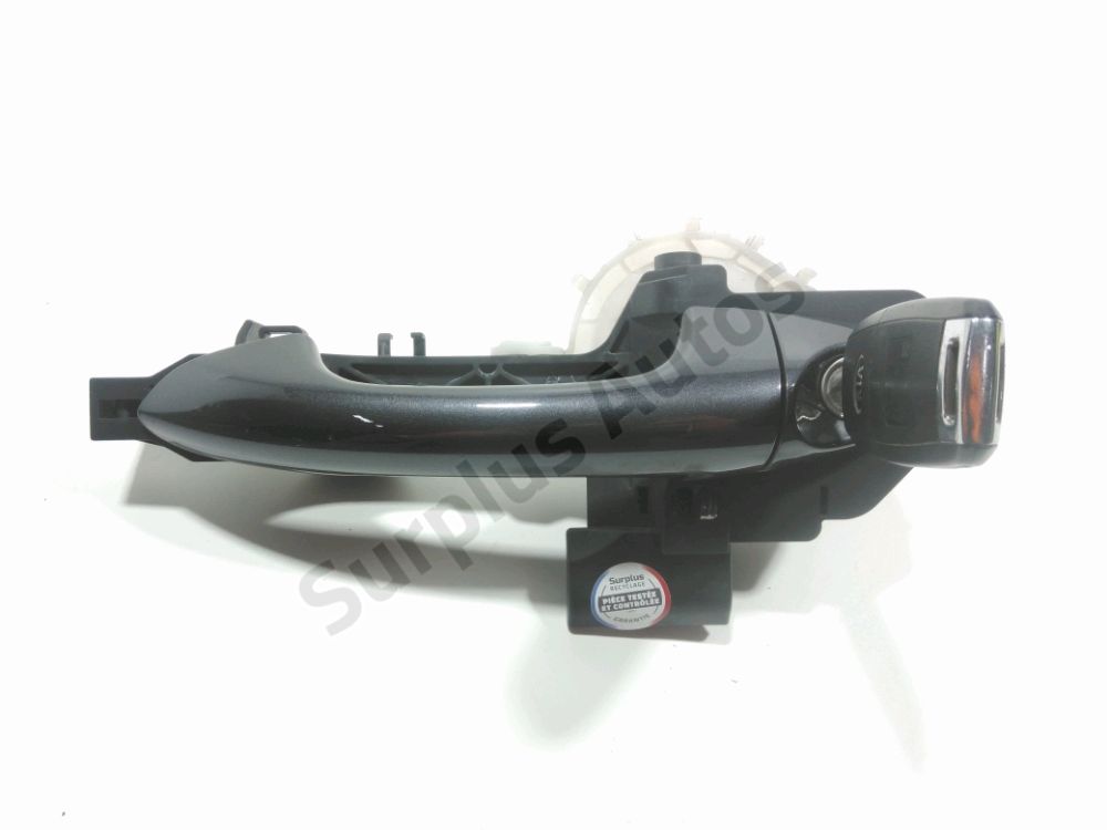 Poignée extérieure avant gauche