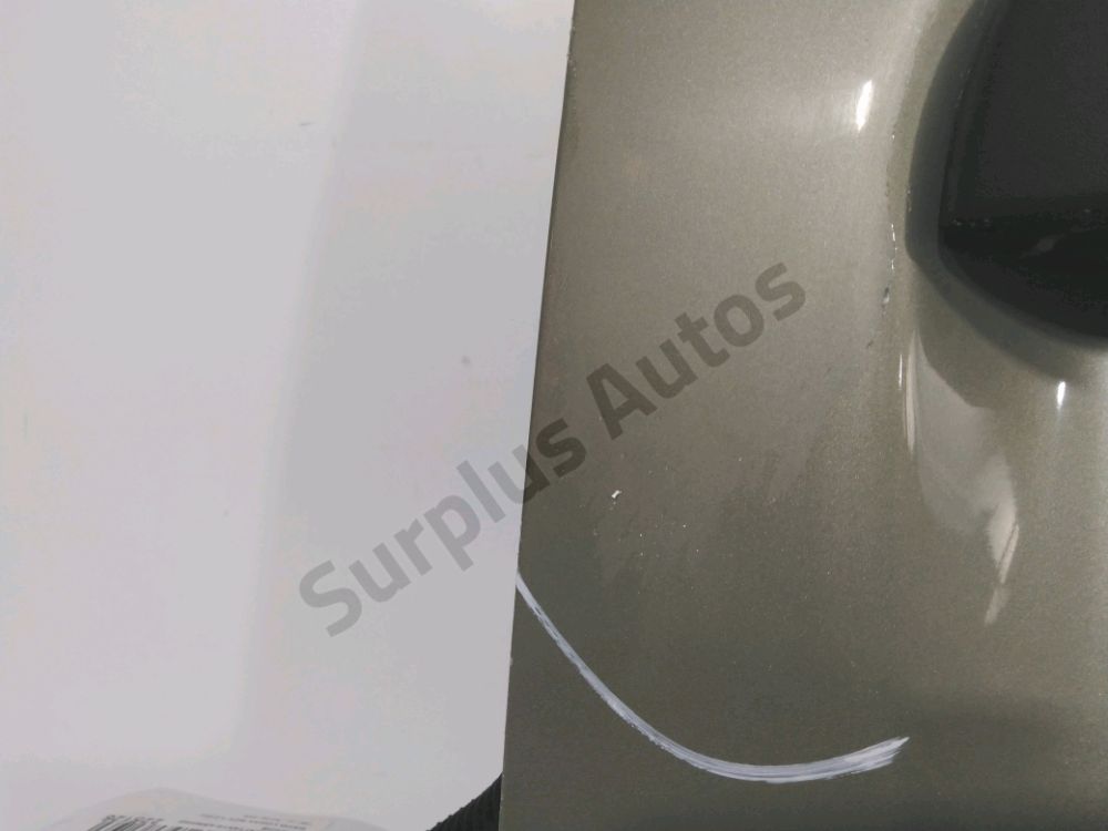 Porte battante arrière gauche