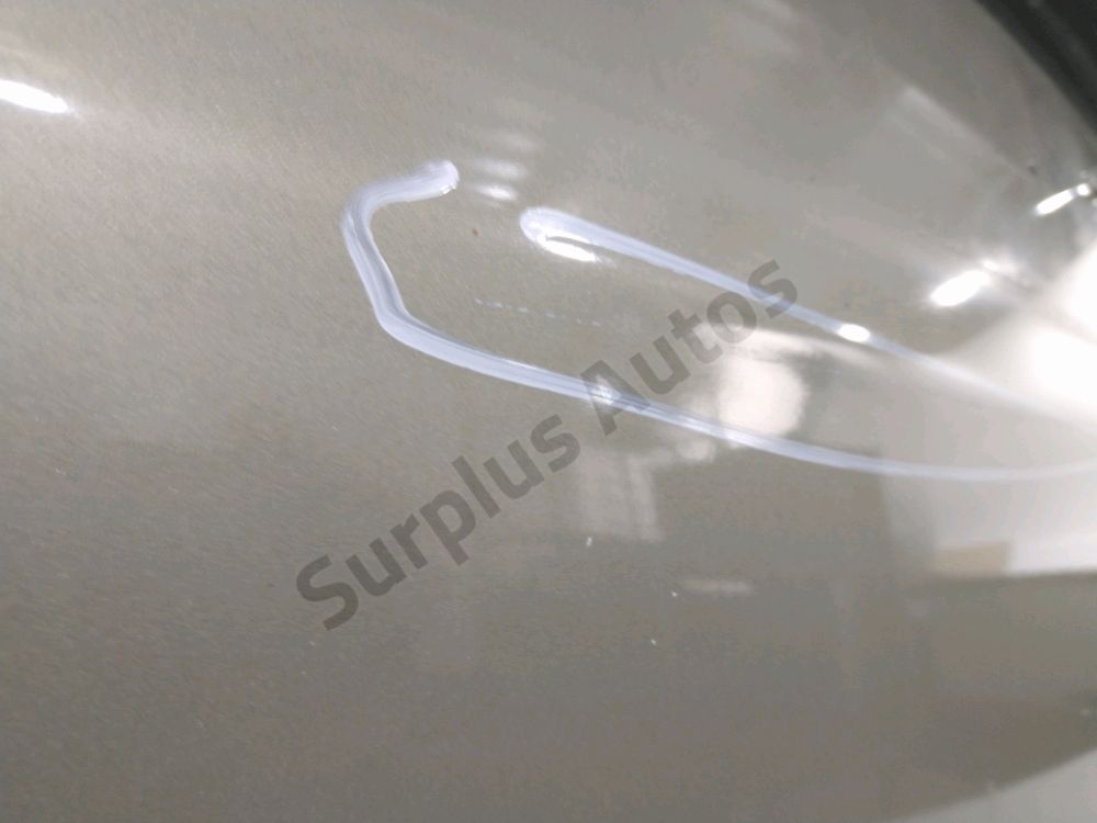 Porte battante arrière gauche