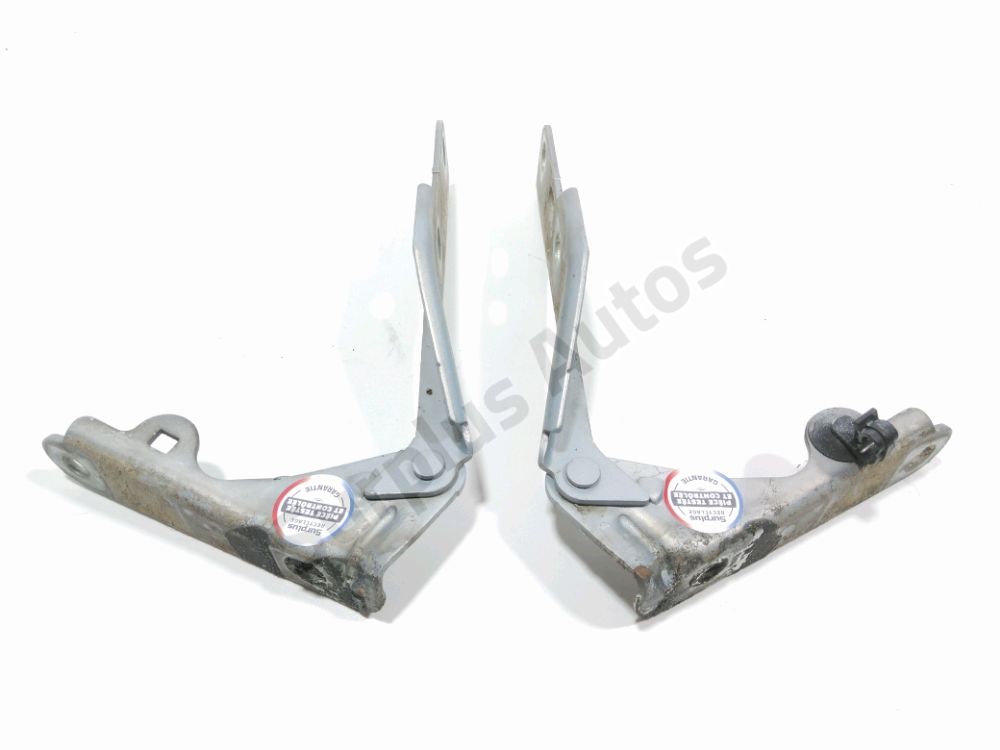 Jeu de charnières de capot