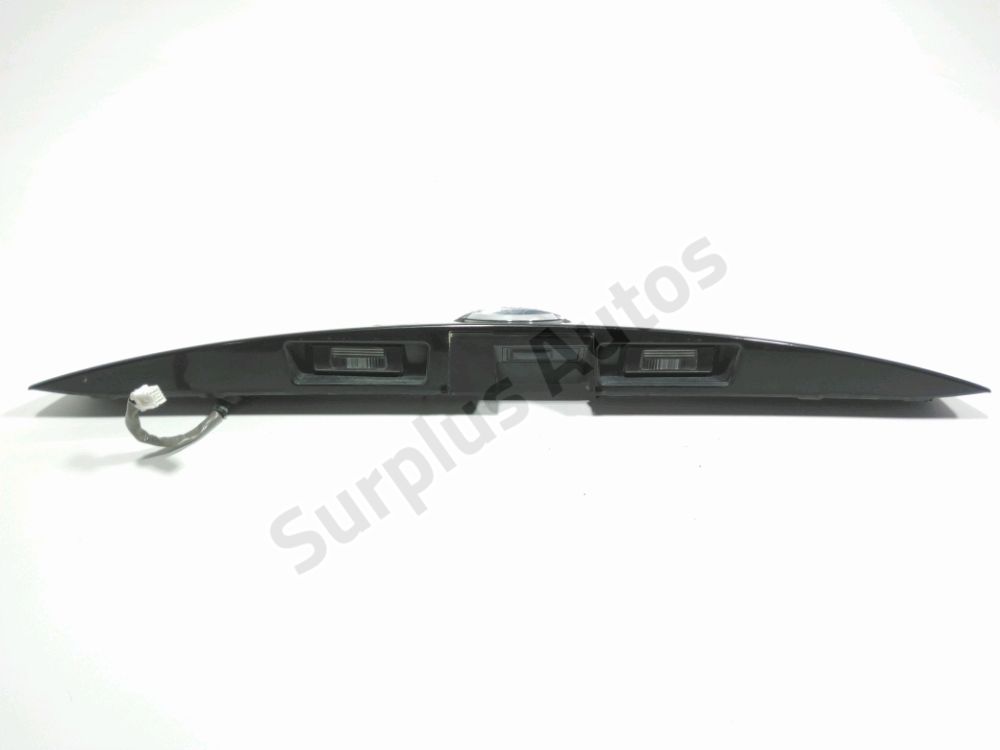 Poignée extérieure de Hayon