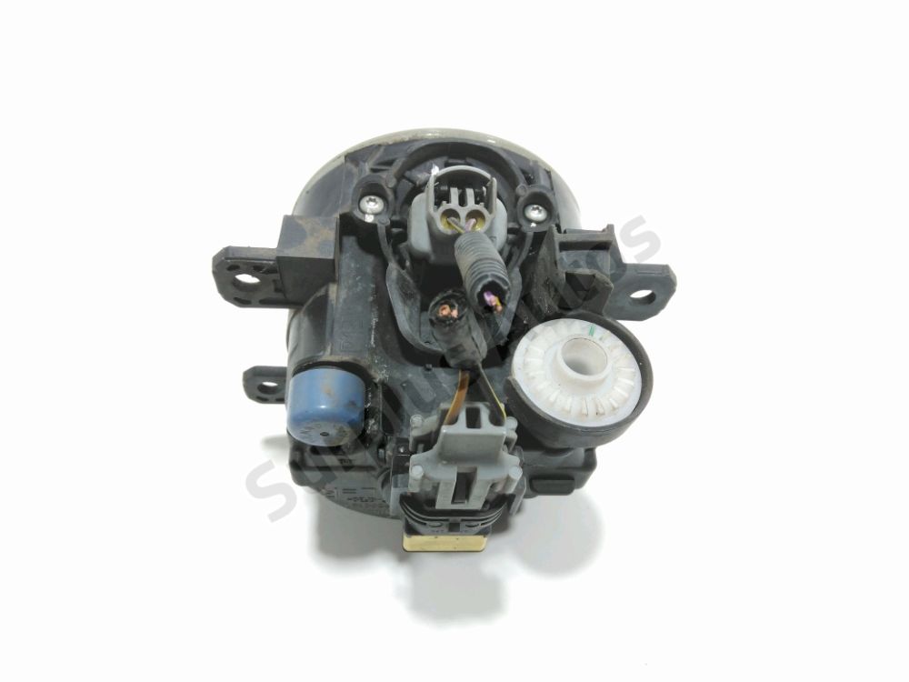 Antibrouillard avant droit