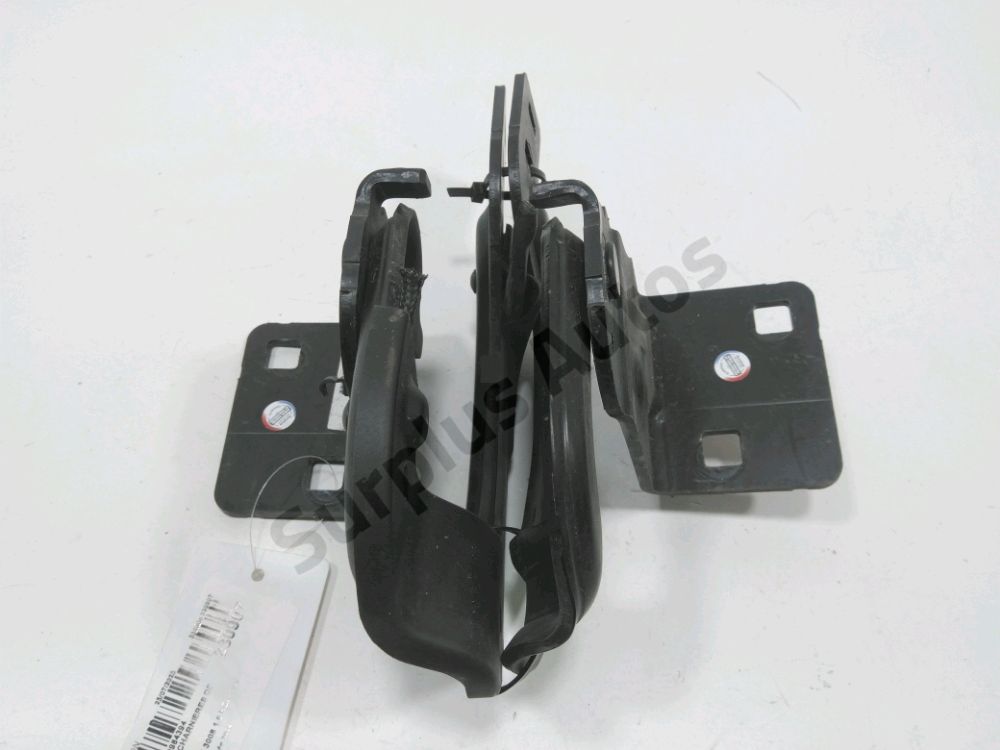 Jeu de charnières de hayon