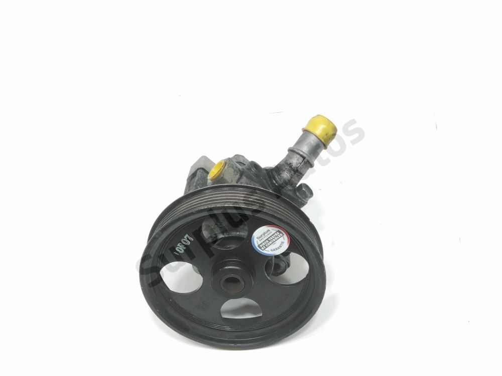 Pompe de direction assistee