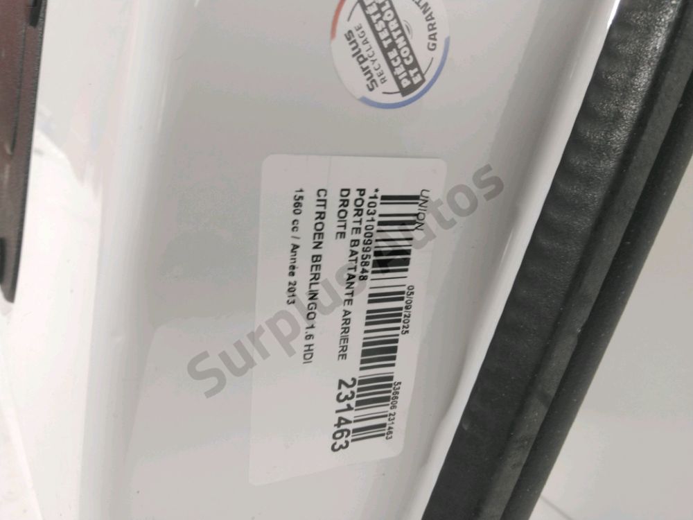 Porte battante arrière droite