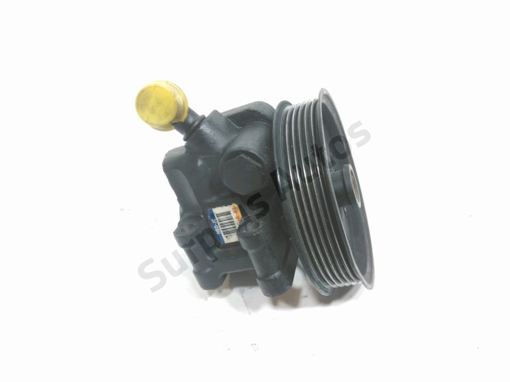 Pompe de direction assistee