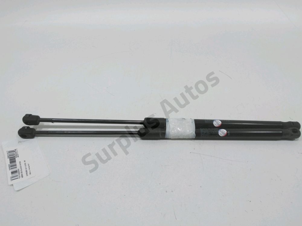 Vérin de glace hayon